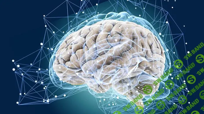 [Богданов, Клюхин] Ускоритель мозга