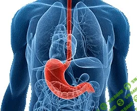 [Боровикова Лада] Лечение заболеваний желудка методами ТКМ