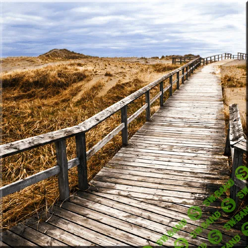 [Brainwave entrainment store] Exam Success