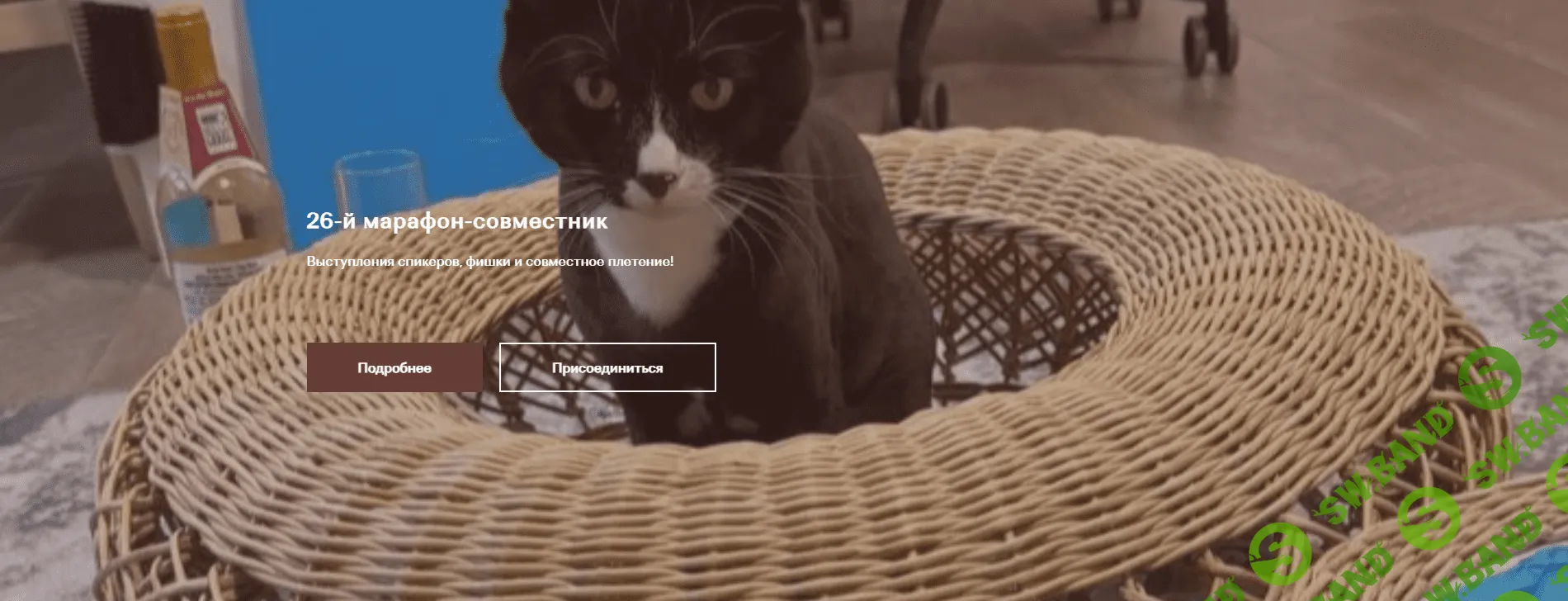 [Бумажная лоза] 26-й марафон-совместник [Анна Загидулина]