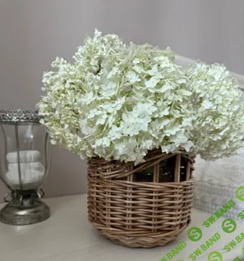 [Бумажная лоза] Уроки с 0 для начинающих [Ольга Федорина]