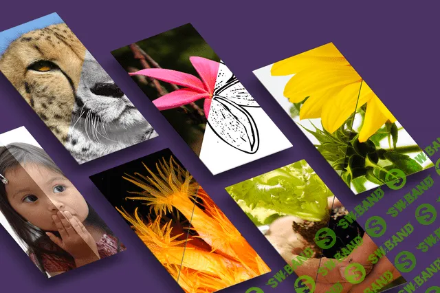 [Bundlestorm] Adobe Photoshop Actions