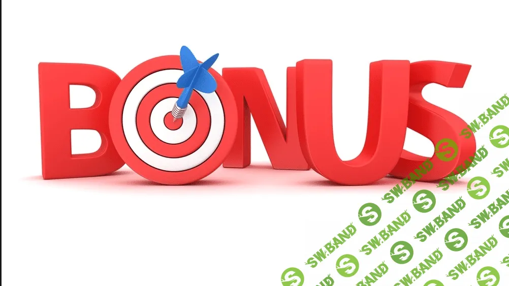 Быстрый взлет в арбитраже трафика BONUS