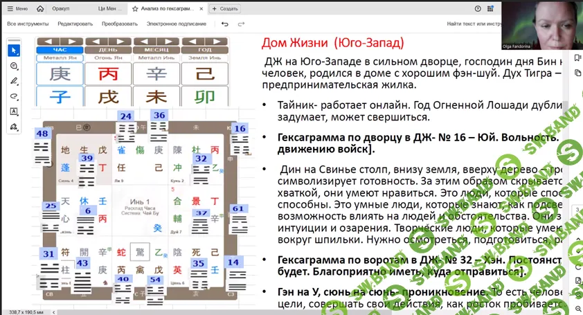 Целостное чтение карт Ци Мень [Ольга Фандорина]