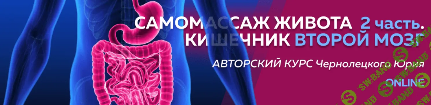 [Центр Норбекова, Юрий Чернолецкий] Самомассаж живота 2 этап. Кишечник второй мозг (2023)