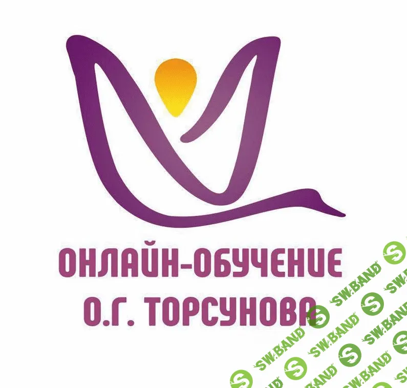 Центр онлайн-обучения Олега Торсунова