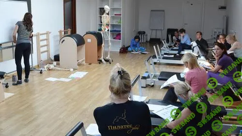 [Центр Практика, Елена Волкова] Функциональное тестирование Polestar (2023)