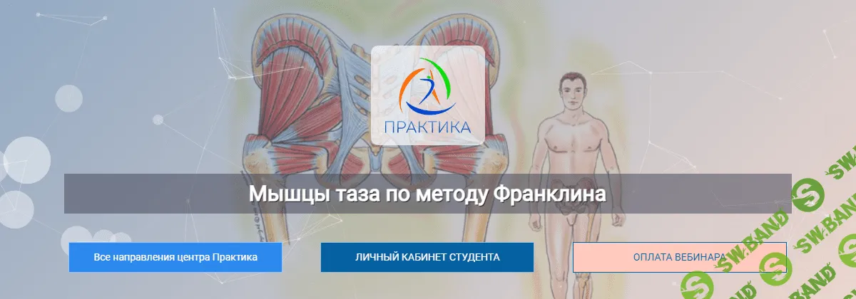 [Центр Практика] Мышцы таза по методу Франклина (2023)
