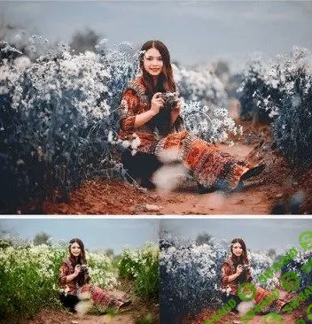 [Cinetune] Кинематографические эффекты цветопередачи