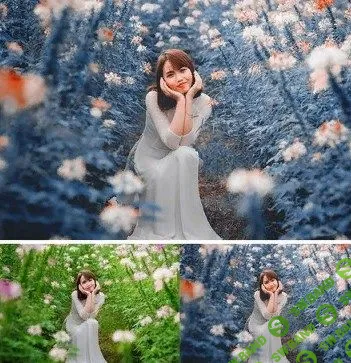 [Cinetune] Кинематографические эффекты цветопередачи