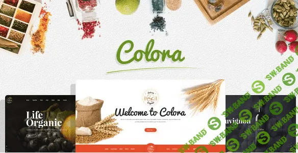 [Colora] Органическая отзывчивая Opencart тема