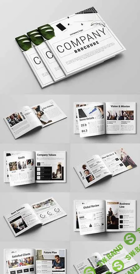 Company Profile Layout with Gray Accents