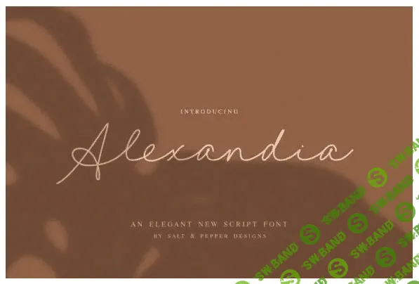 [Creativefabrica] Alexandia Font