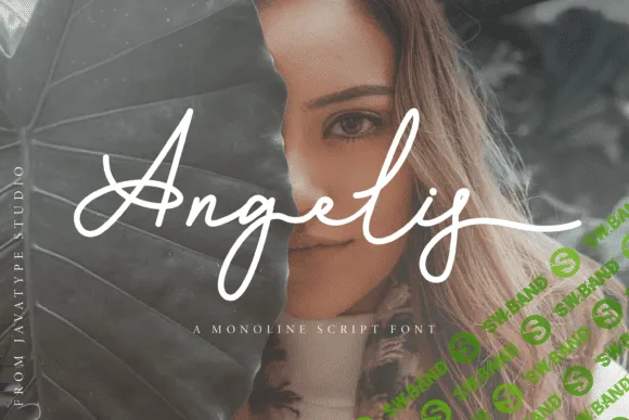 [Creativefabrica] Angelis Font
