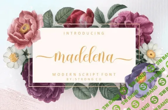 [Creativefabrica] Madelena Font
