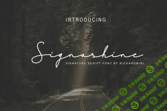 [creativefabrica] Signashine Font