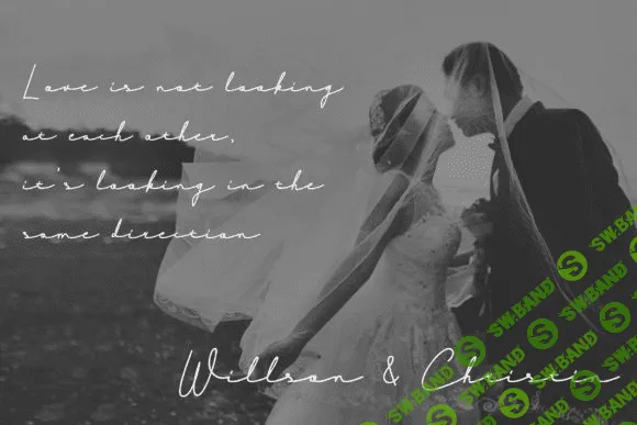 [creativefabrica] Signashine Font