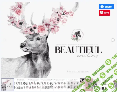 [Creativefabrica] Watercolor Animal Portraits and Flowers (2021)