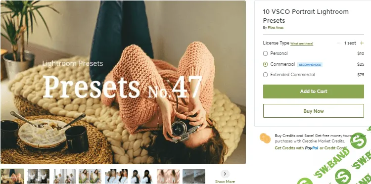 [Creativemarket] 10 VSCO Portrait Lightroom Presets №47 (2020)