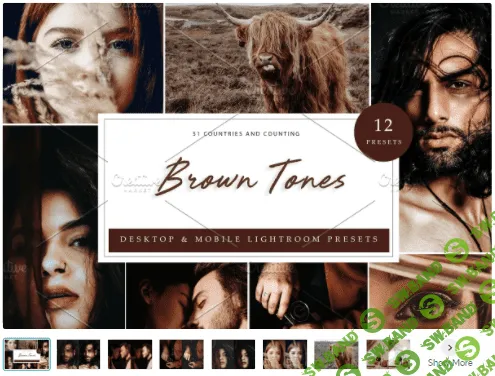 [Creativemarket] 12 x Lightroom Presets, Brown Tones (2021)