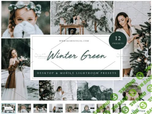 [Creativemarket] 12 x Lightroom Presets, Winter Green (2021)