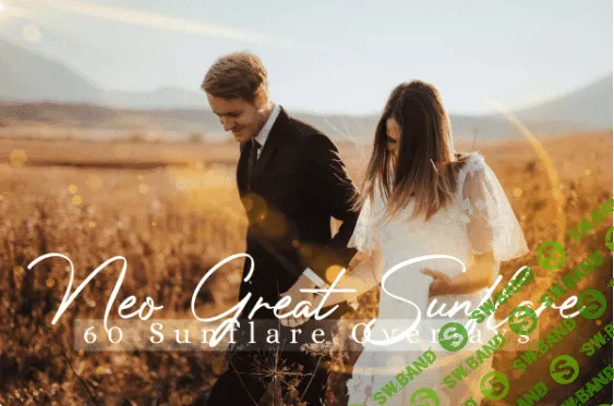 [creativemarket] 60 Neo Great SunFlare Photo Overlays (2021)