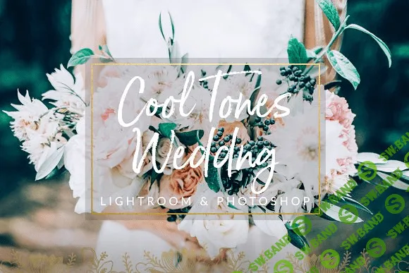 [creativemarket] Cool Tones Wedding Presets LR & PS