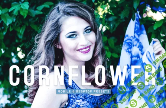 [creativemarket] Cornflower Pro Lightroom Presets (2022)