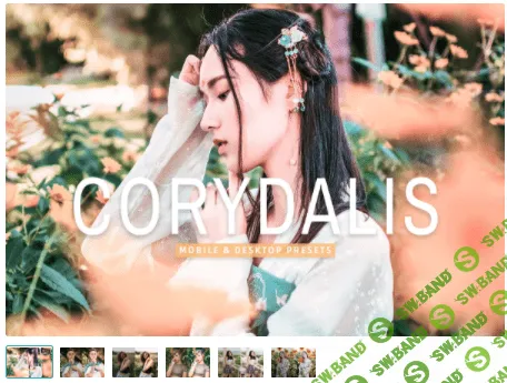 [creativemarket] Corydalis Pro Lightroom Presets (2022)
