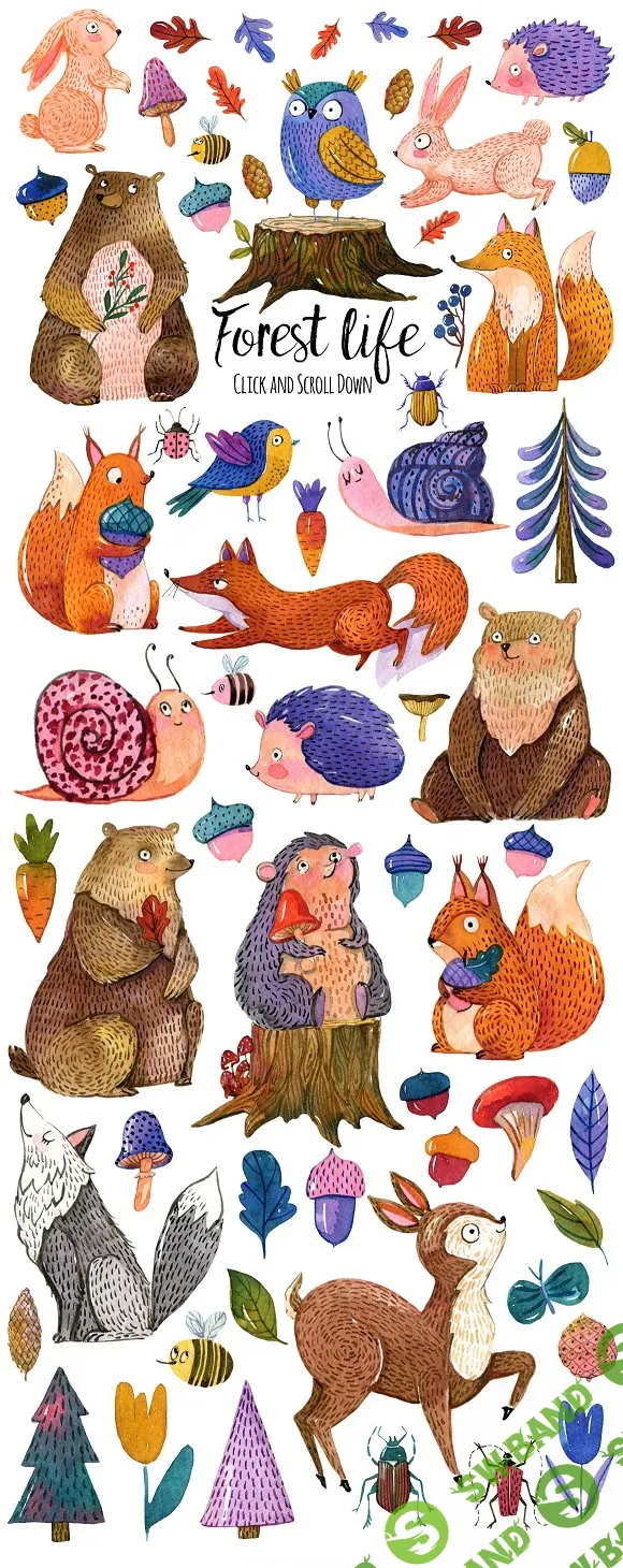 [creativemarket] Cute forest animals set