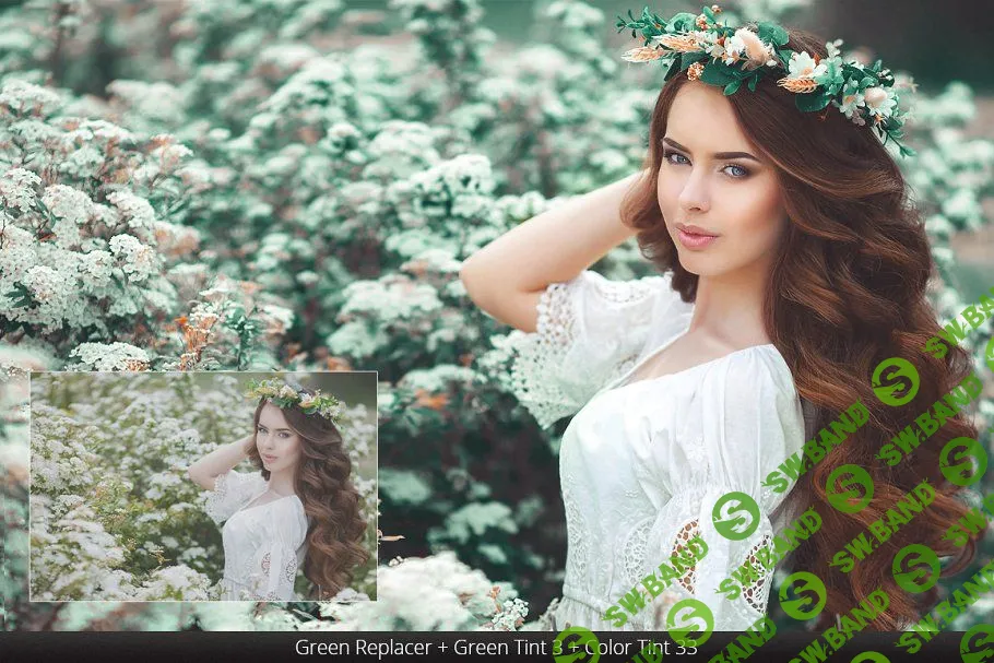 [creativemarket] Летние наложения