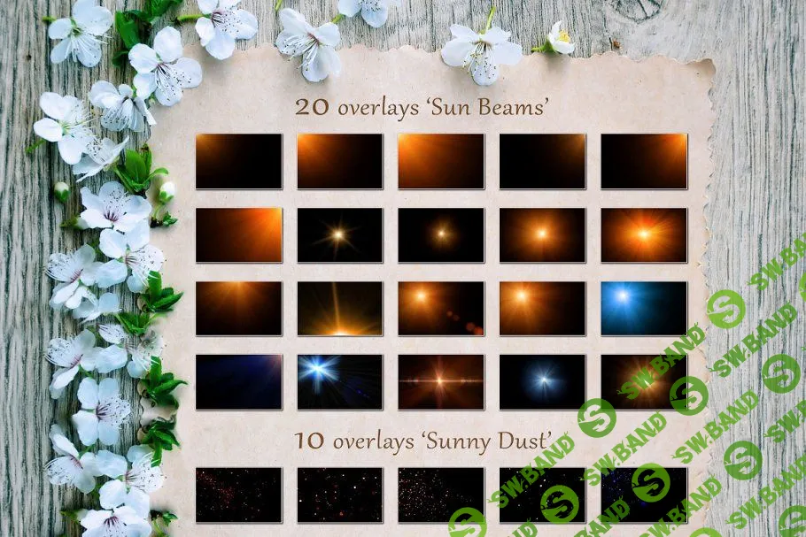 [creativemarket] Летние наложения