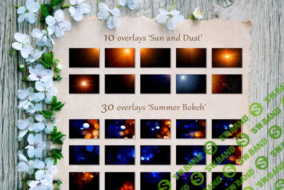 [creativemarket] Летние наложения