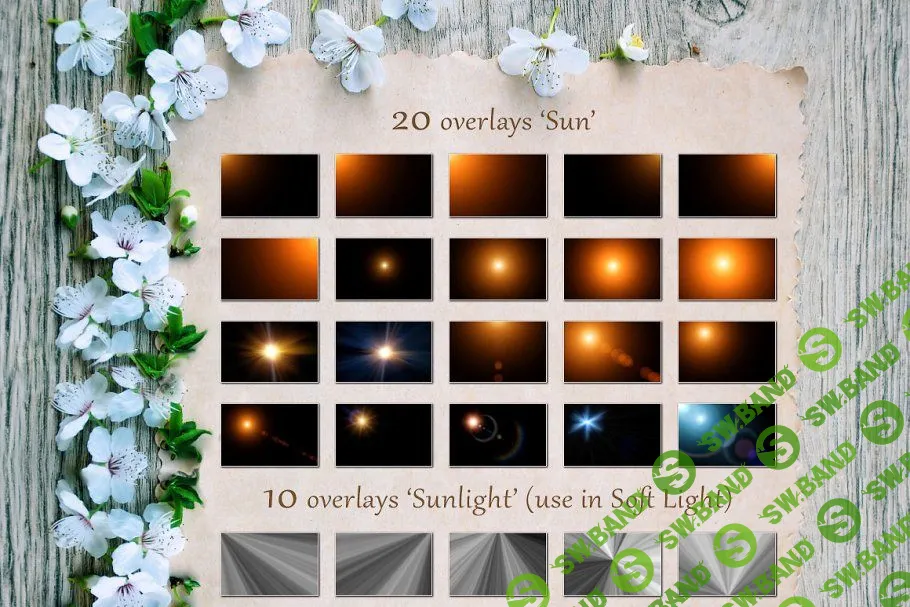 [creativemarket] Летние наложения