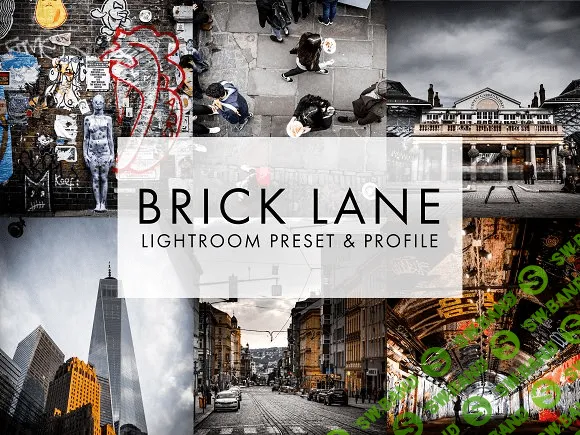 [creativemarket] Lightroom CC Mobile Preset