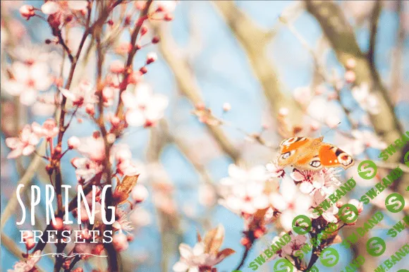 [Creativemarket] Pastel Presets - Spring - 60 весенних пресетов для Lightroom