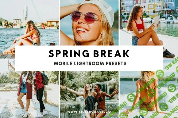 [Creativemarket] Spring Break Mobile Lightroom Preset