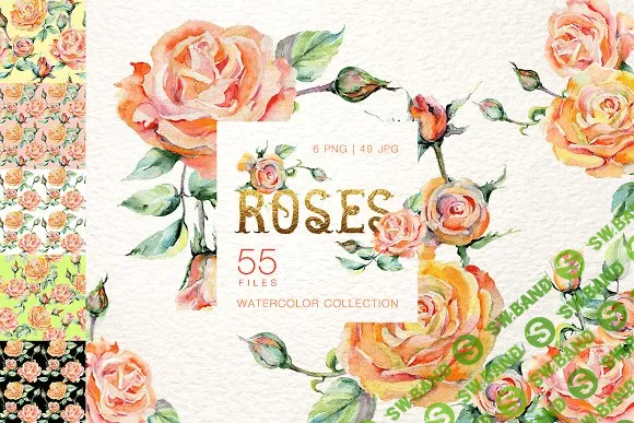 [creativemarket] Stylish rose Watercolor png