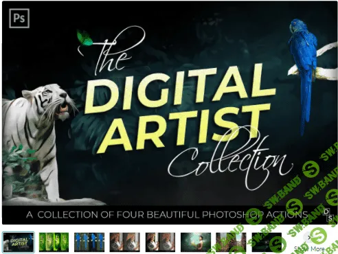 [Creativemarket] The Digital Art Collection (2021)