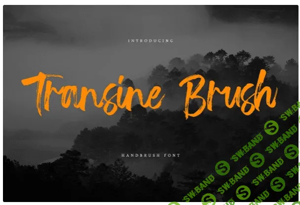 [Creativemarket] Transine Brush Font