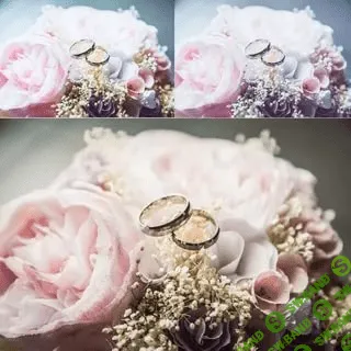 [Creativemarket] Weddingpresets by 2suns (2019)