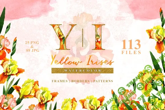 [creativemarket] Yellow irises Watercolor png