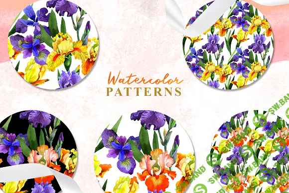 [creativemarket] Yellow irises Watercolor png