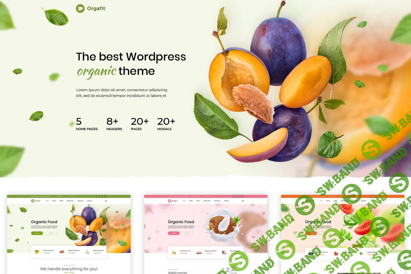 [CreativeWS] OrgaFit - Organic and Health WordPress Theme