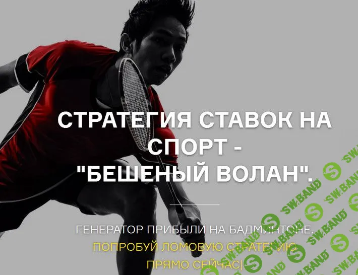 Cтратегия ставок на спорт - "Бешеный волан".