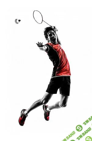 Cтратегия ставок на спорт - "Бешеный волан".