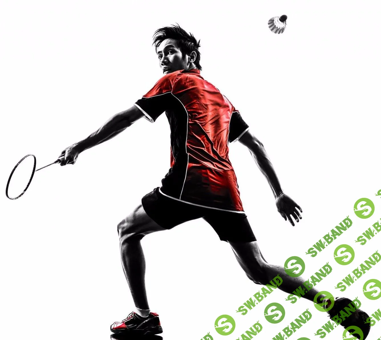 Cтратегия ставок на спорт - "Бешеный волан".