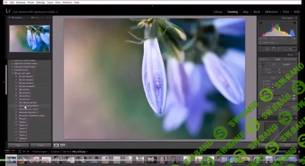 Цвет в программе Lightroom - Елена Счастливая