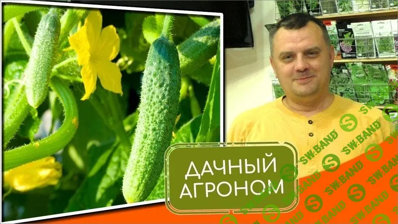 [Дачный агроном] Огуречный Курс (2022)