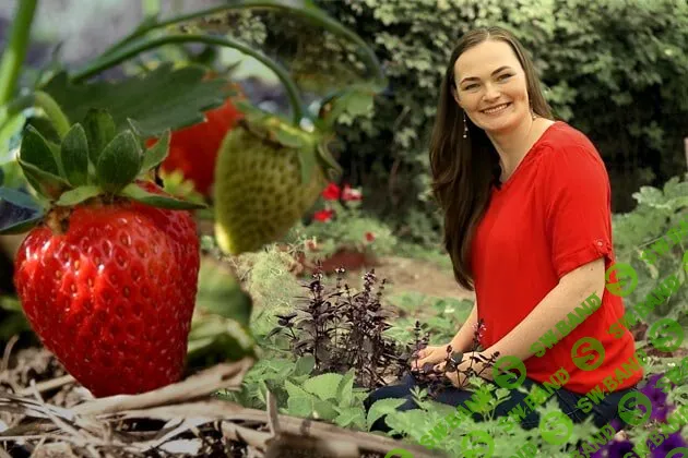 [Дачный агроном] Видеоуроки Клубника от А до Я (2022)